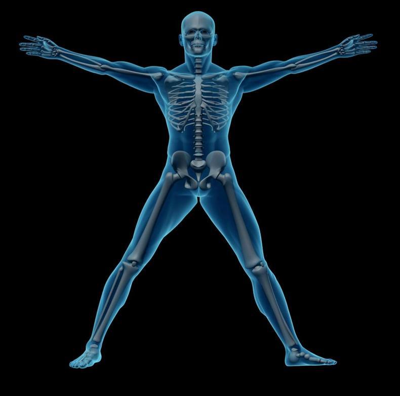 Калистеника – сильное тело без спортзала