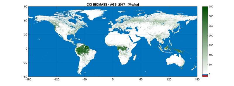 Новая карта биомассы для анализа углерода в мире