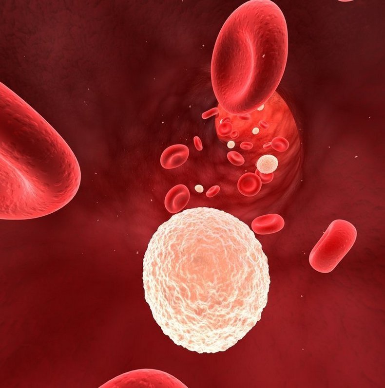 Лейкоциты в крови: Почему этот показатель необычайно важен?