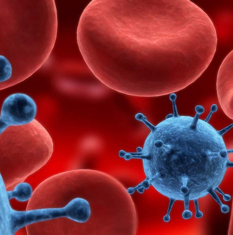 Лейкоциты в крови: Почему этот показатель необычайно важен?