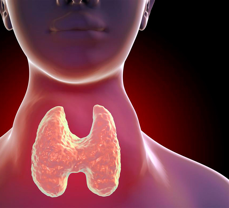 7 эфирных масел для щитовидной железы