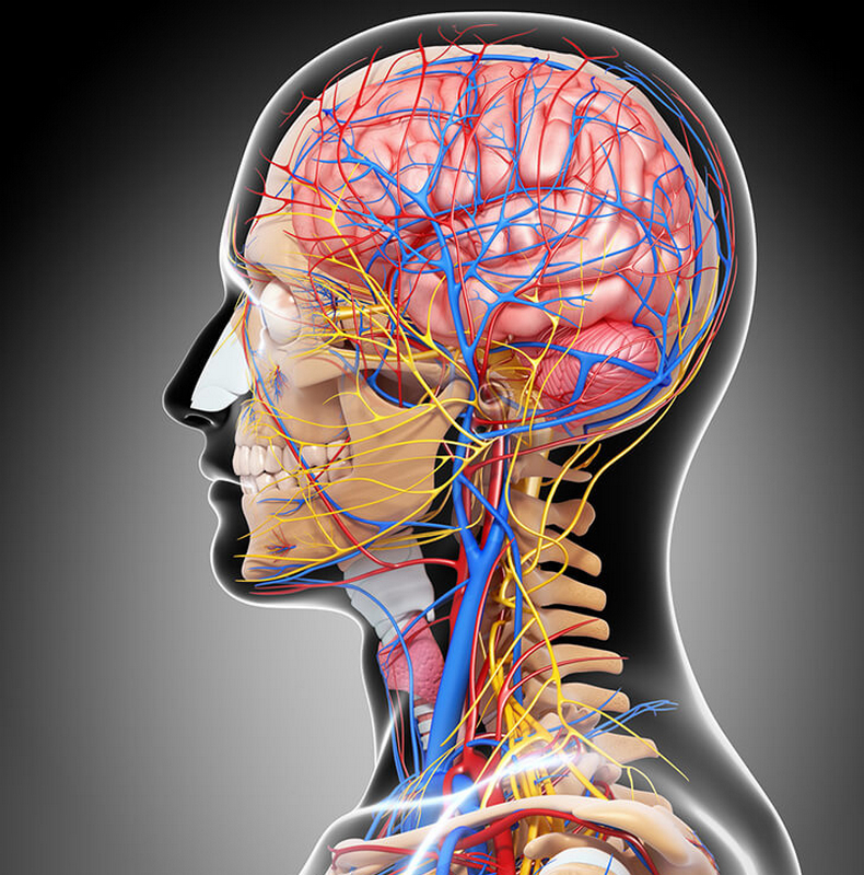 9 триггеров мигрени: Как избавиться от приступов головной боли