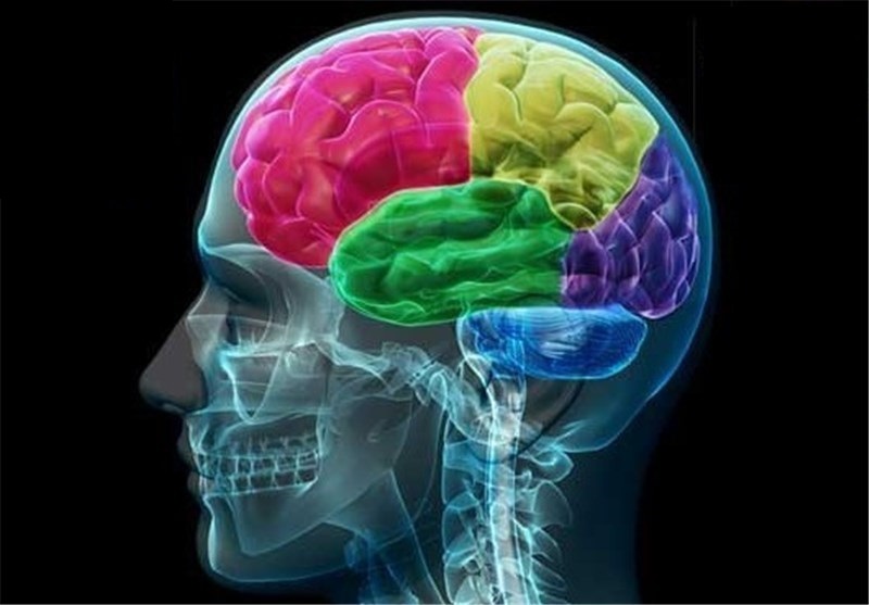 10 удивительных тайн человеческого мозга