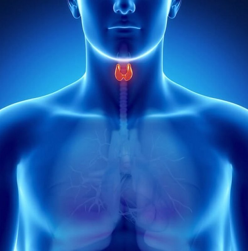 Sănătatea tiroidei: 8 reguli de aur