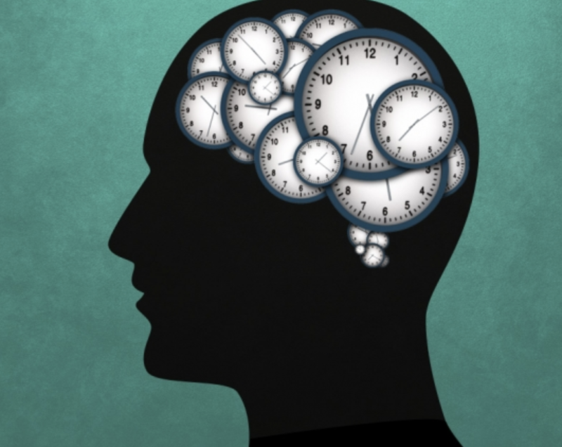 Как время суток и продукты влияют на работу мозга
