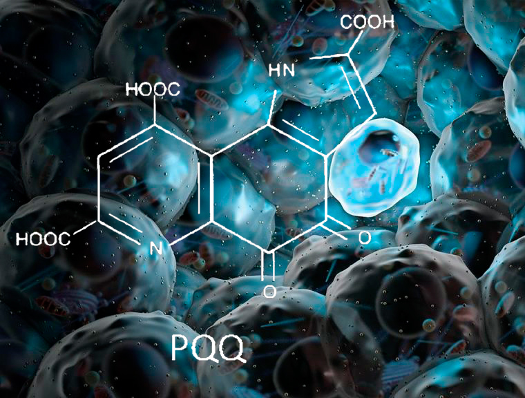 Пирролохинолинхинон (PQQ ) – мощное средство для профилактики нейродегенеративных заболеваний