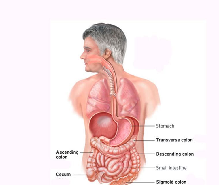 Признаки рака кишечника у мужчин на ранних. Онкология кишечника симптомы у мужчин. Новообразования в кишечнике симптомы.
