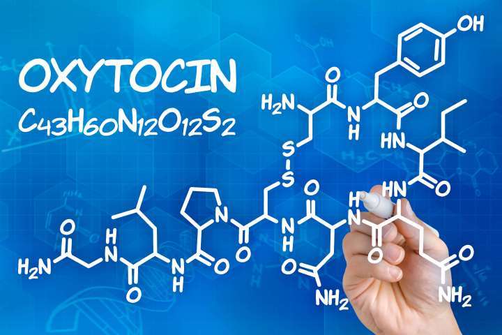 Влияние гормонов на поведение: Тестостерон способствует правдивости, а Окситоцин — лживости