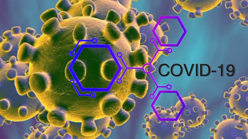 Необходимые питательные вещества, которые помогут защититься от коронавируса