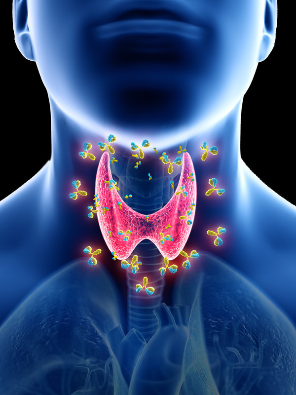 Признаки проблем со щитовидной железой: на что стоит обратить внимание 