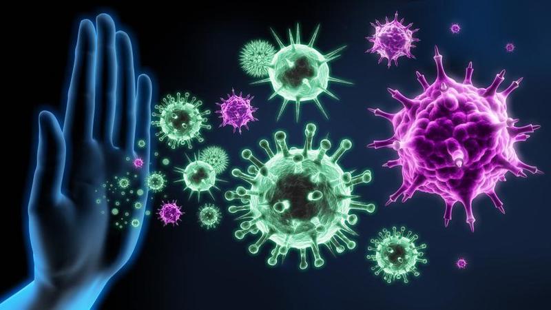 Витамин С и магний помогают справиться с болезнями и лечить вирусные инфекции