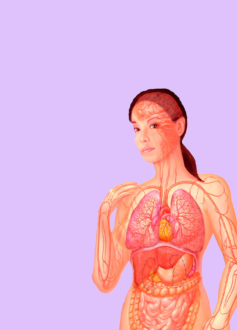 Как состояние кишечника влияет на женское здоровье