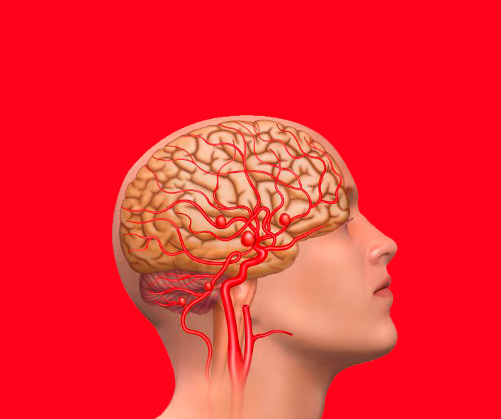 Улучшаем кровообращения мозга: комплекс из трех упражнений