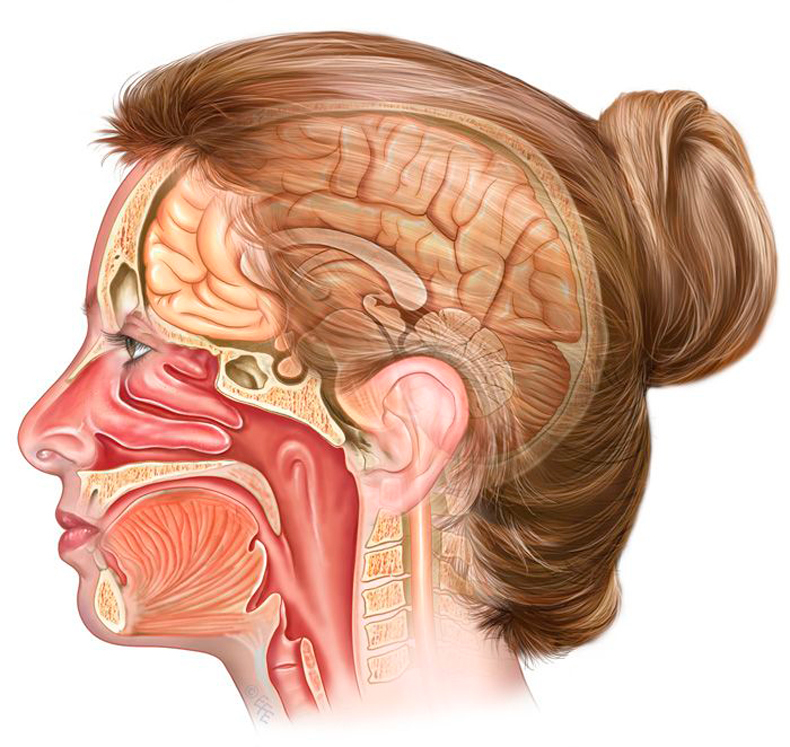 Методика легкого дыхания: избавит от головной боли и оздоровит носоглотку