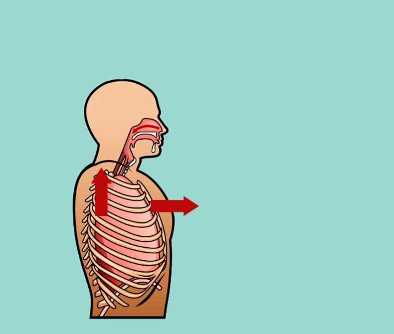 Дыхательные практики для оздоровление внутренних органов 