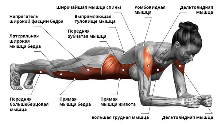 Убираем бока: 7 упражнений для похудения нижней части спины 