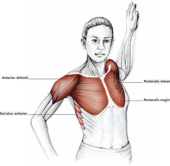 Стретчинговые упражнения для груди