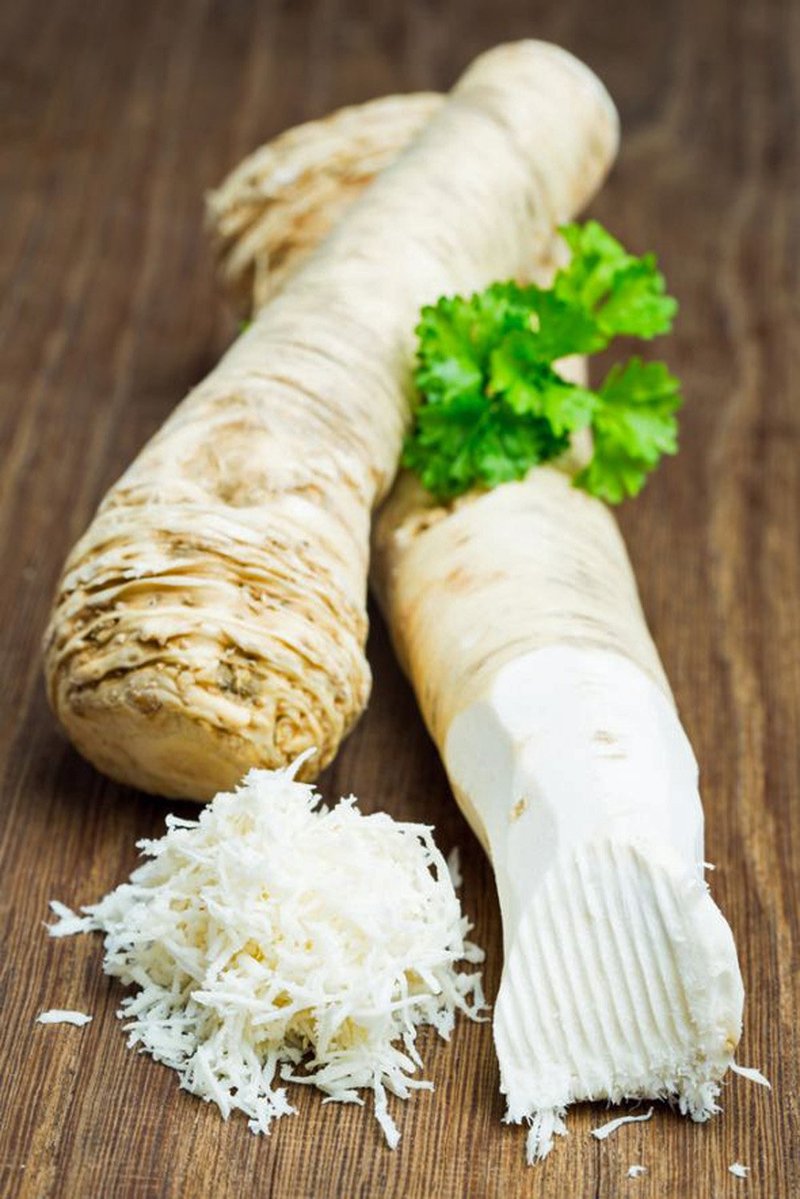 The benefits and uses of horseradish for coughs and colds