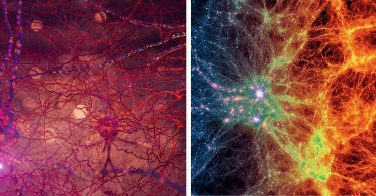 Человеческий мозг удивительно похож на Вселенную