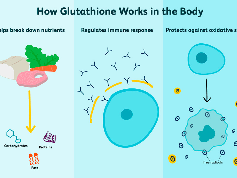 «Главный антиоксидант»: 10 способов повысить уровень глутатиона