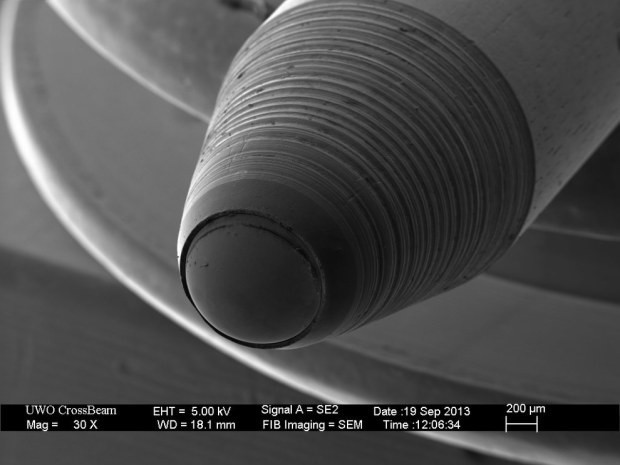 Как выглядят  обычные  предметы под микроскопом