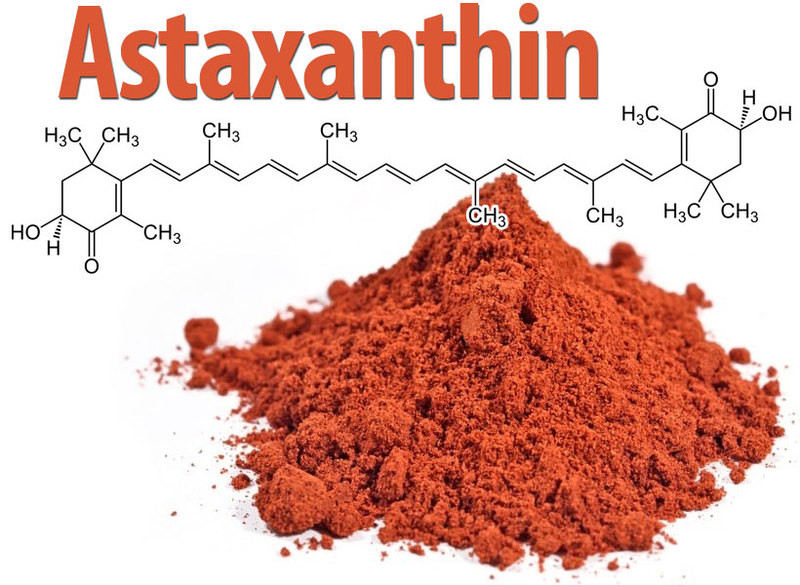 «Король антиоксидантов»: астаксантин  замедляет старение мозга