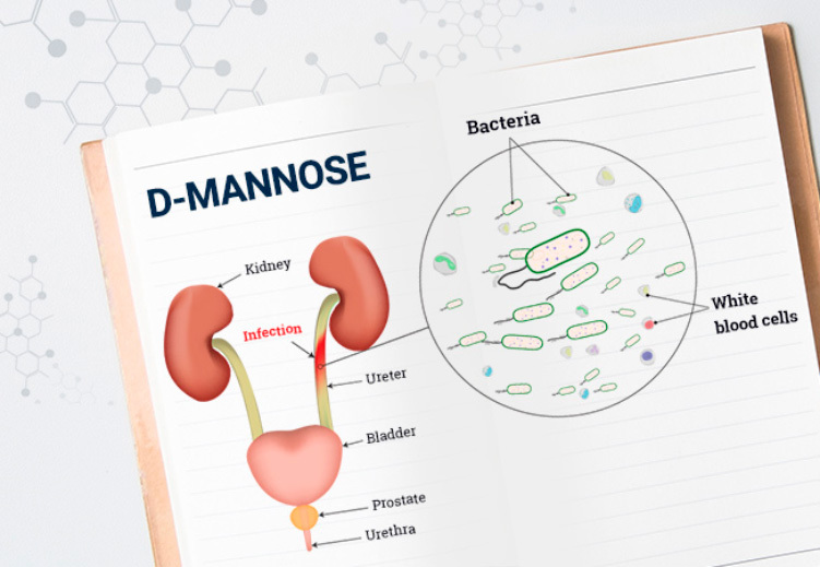 D-манноза для профилактики инфекции мочевыводящих путей