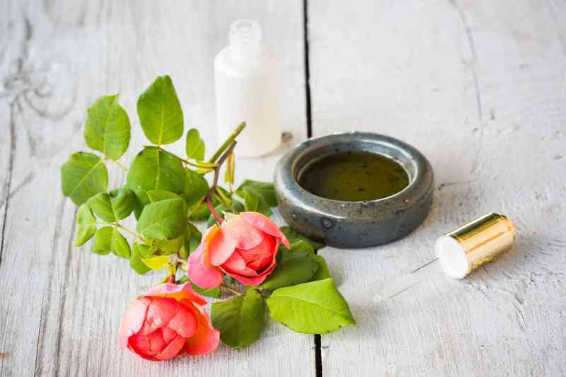 Масло розы для кожи, гормонов и против депрессии