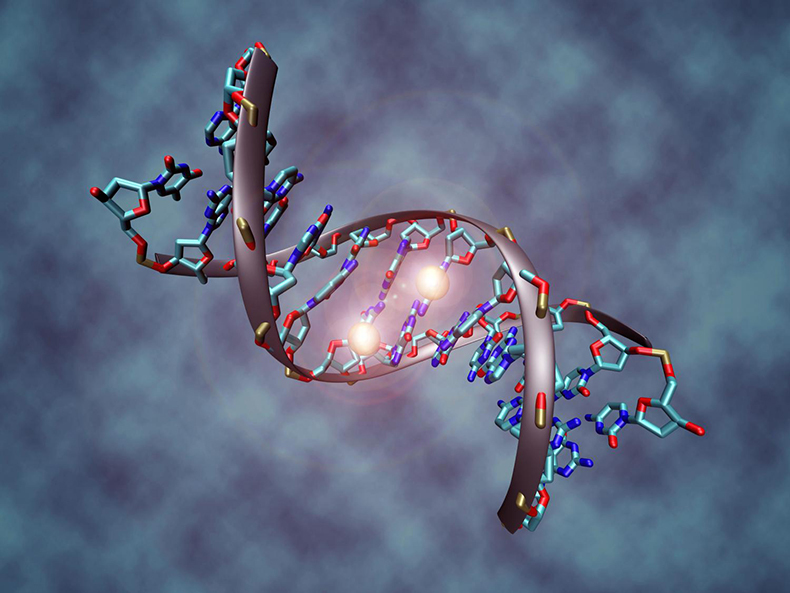 Генетический тест не определяет судьбу как перехитрить свою ДНК