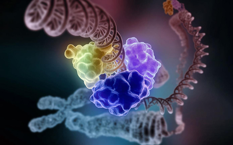 Генетический тест не определяет судьбу как перехитрить свою ДНК