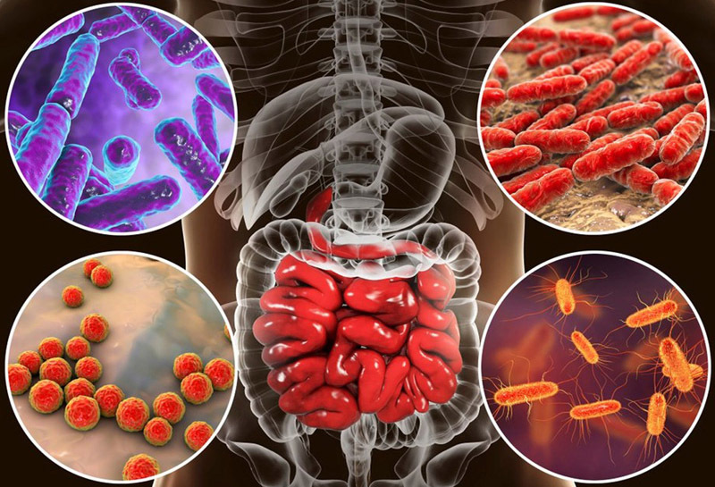 Дисбактериоз: факторы, опасность и как диагностировать проблему