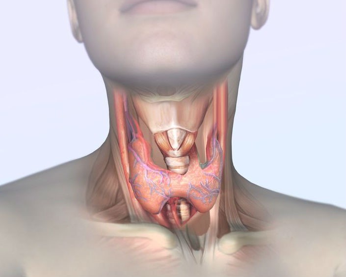 12 признаков, что у Вас проблемы со щитовидной железой