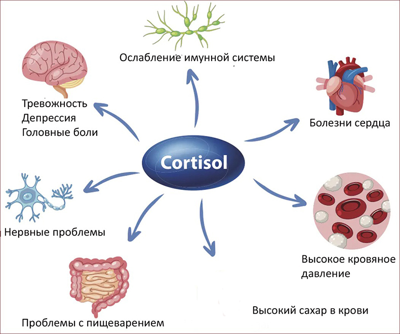 6 шагов к контролю уровня кортизола и снижению стресса