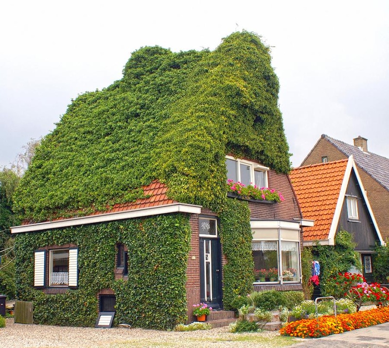  Сказочные зеленые крыши Северной Скандинавии