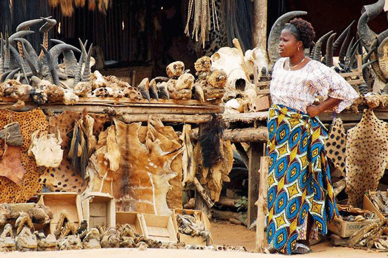 Магический рынок Акодессева в Того — место не для слабонервных