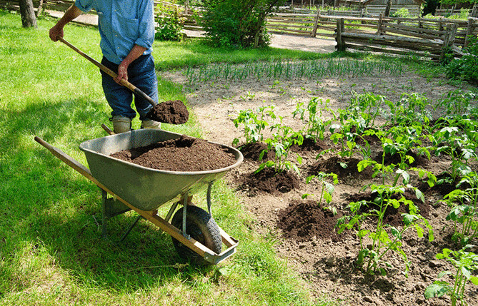  Органическое земледелие — основные принципы, история и факты