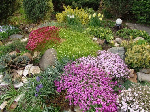 Цветущие покровные растения — идеальное решение для  тенистого сада