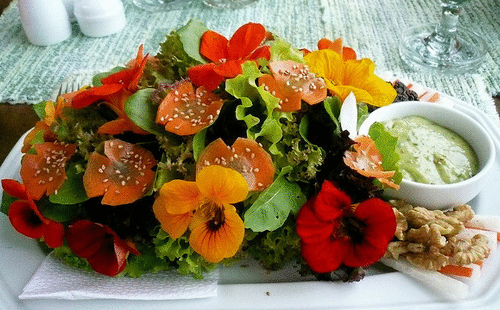 20 съдобных цветков, об использовании которых в кулинарии никто и не догадывался 