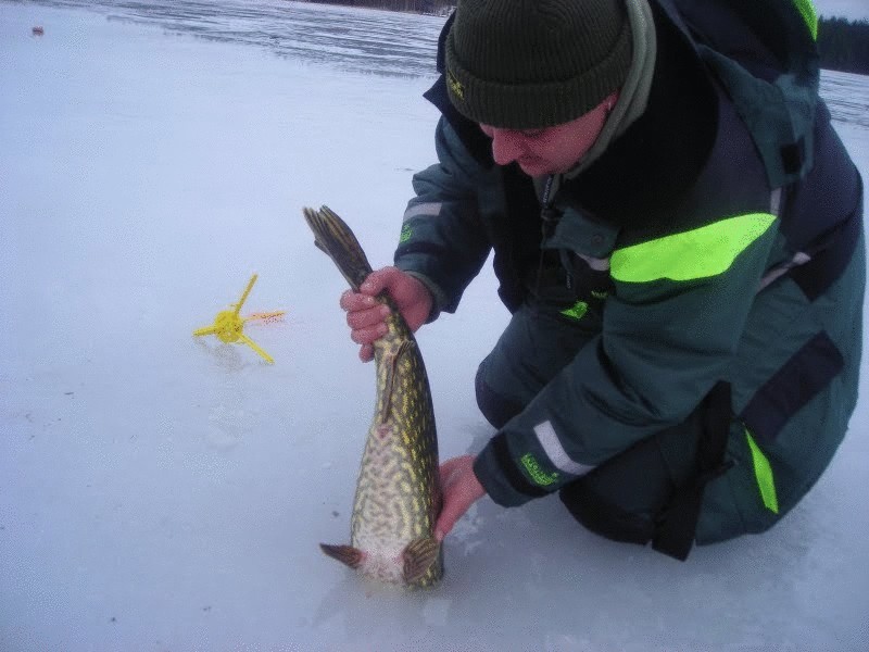 Зимняя рыбалка в Швеции
